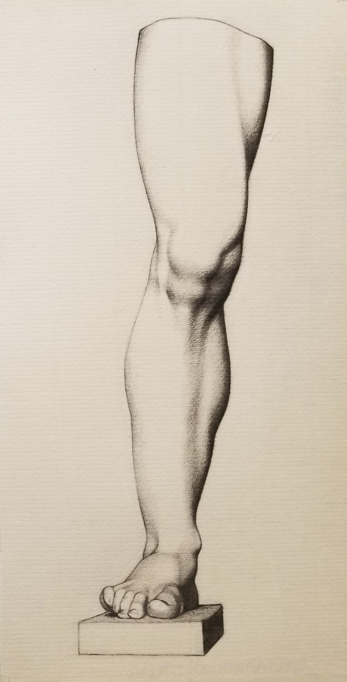 Bargue drawing, charcoal